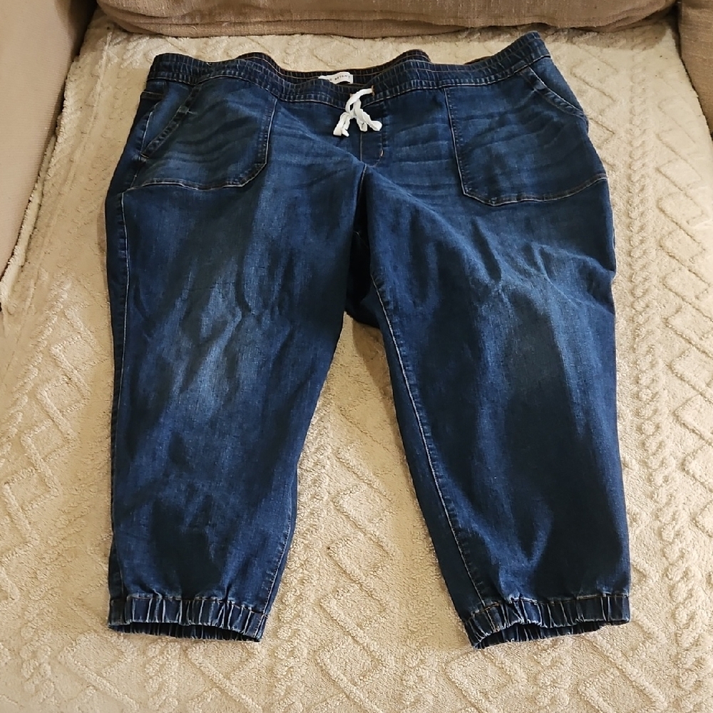 Lane‎ Bryant Mid Rise Boyfriend Jogger Pants Size 28